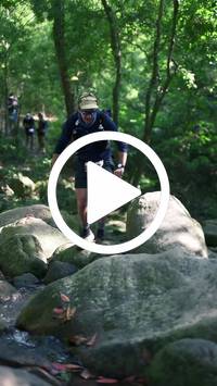 BIB:  <button type="button" onclick="openModal(28052508)" class="btn btn-primary btn-sm float-right" data-toggle="modal" data-target=".modal-high-quality">
                <i class="fa fa-download"></i> Download
                </button>